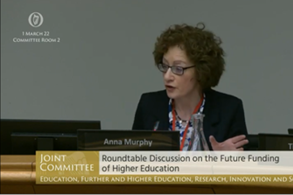 Still frame of Dr Anna Murphy of QQI appearing before the joint committee on education in Dáil Éireann