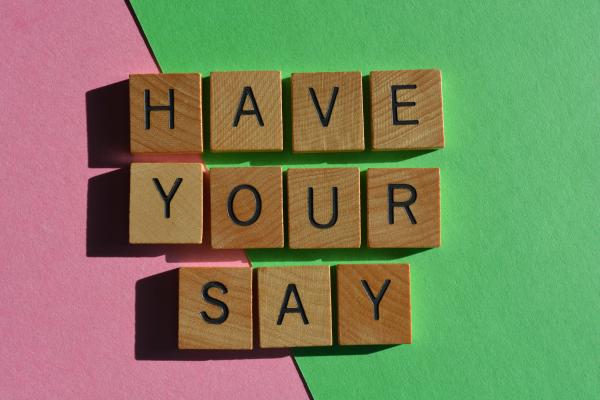 Wooden blocks on a pink and green background that spell out the words 'Have Your Say'