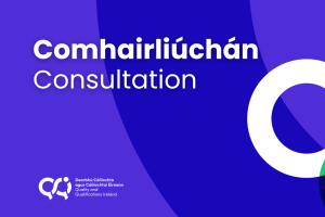 alt="Comhairliúchán, consultation."