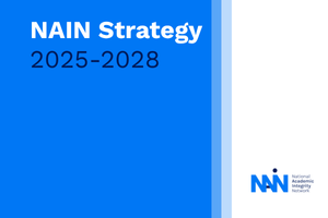 alt="NAIN Strategy 2025-2028."